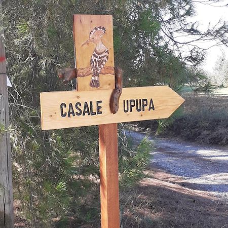 Casale L'Upupa Villa Орвието Екстериор снимка