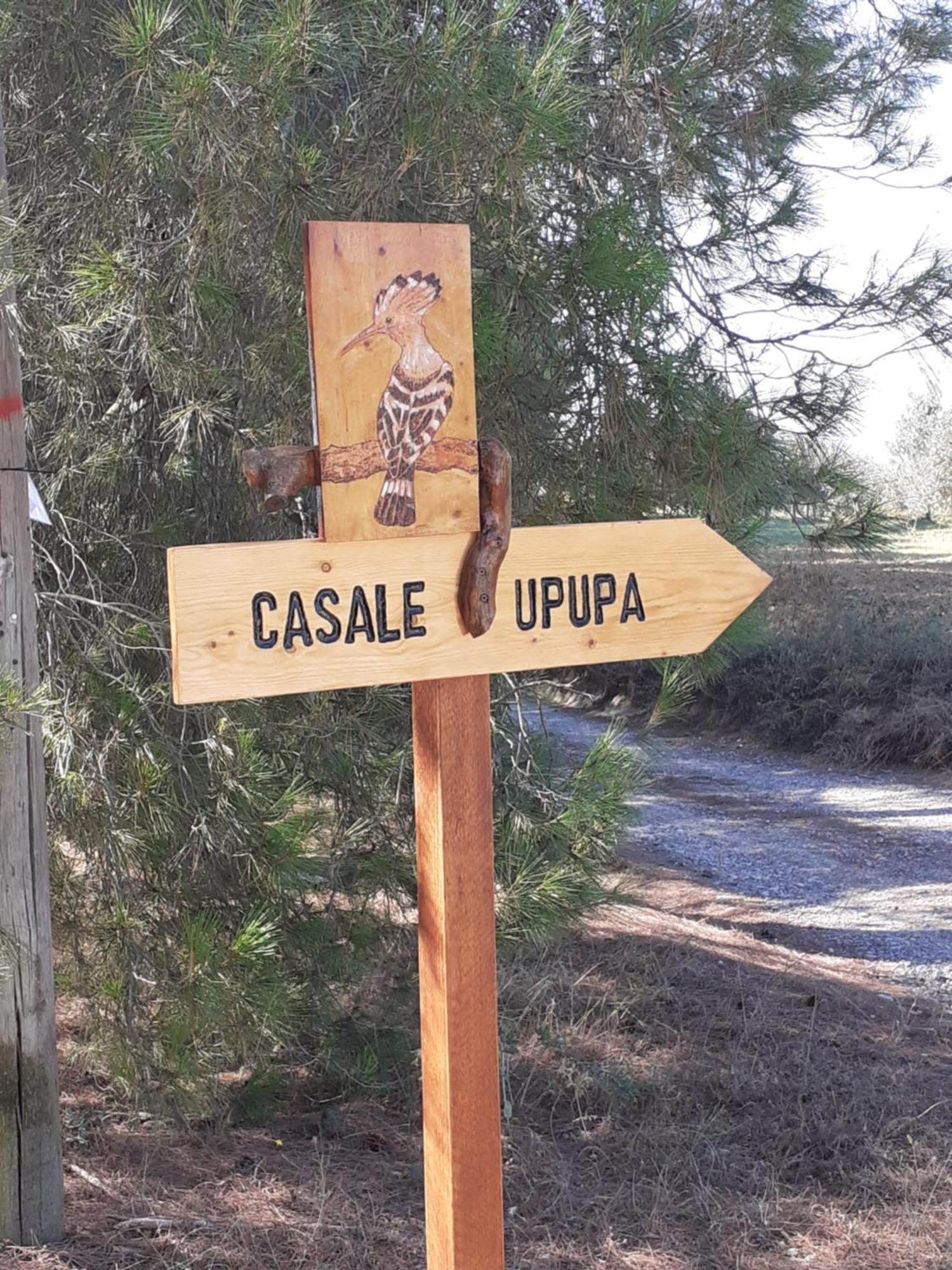 Casale L'Upupa Villa Орвието Екстериор снимка